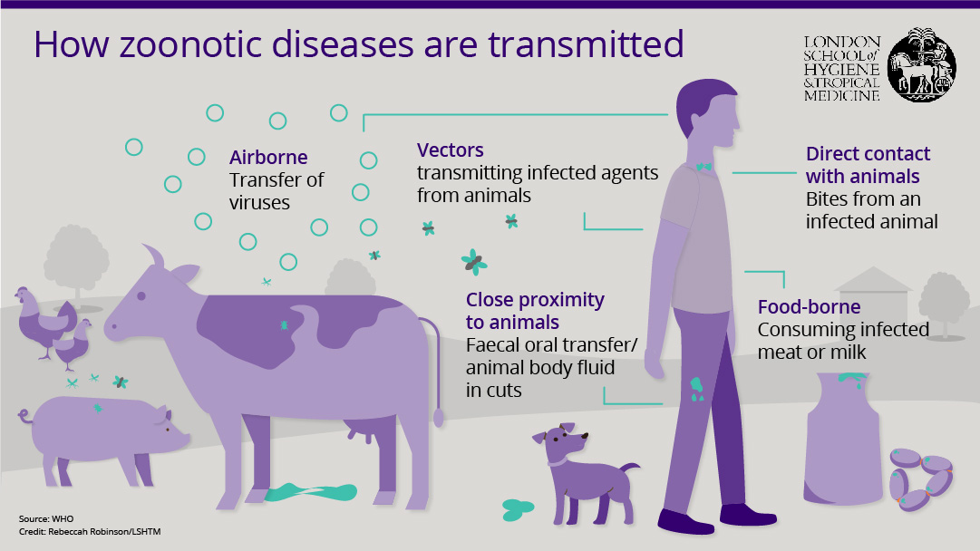 Where Humans And Animals Collide: Emerging Infections And Newfound ...